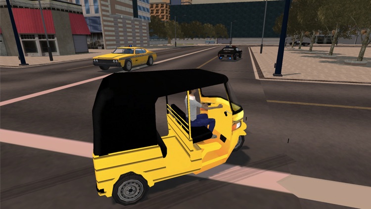 Auto Rikshaw Simulator 2017 screenshot-4
