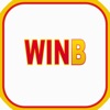 win B icon