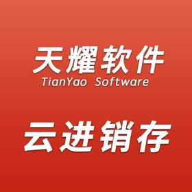 스크린샷 (7) 天耀云进销存
