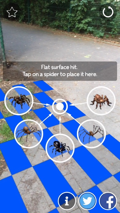 AR Spiders Screenshots