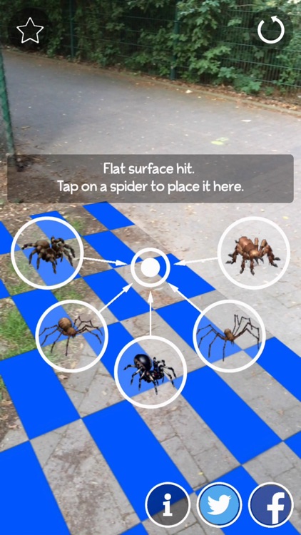 AR Spiders screenshot-0
