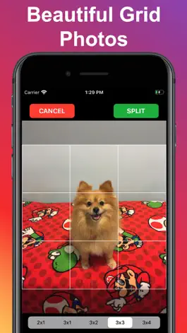 Game screenshot Photo Splitter: Picture Grids mod apk