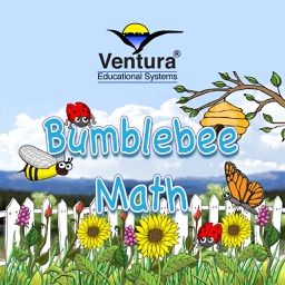 Bumblebee Math