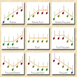 Melodic Contour Identification app icon