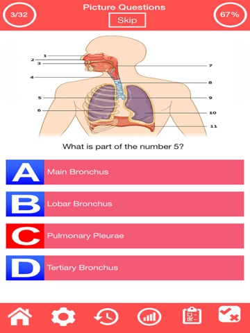 Human Respiratory System Quiz screenshot 3