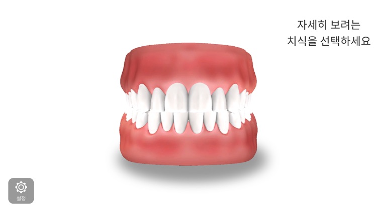 AR-D Morphology