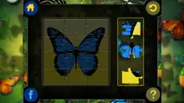 Game screenshot Jigsaw Puzzle for Insects hack