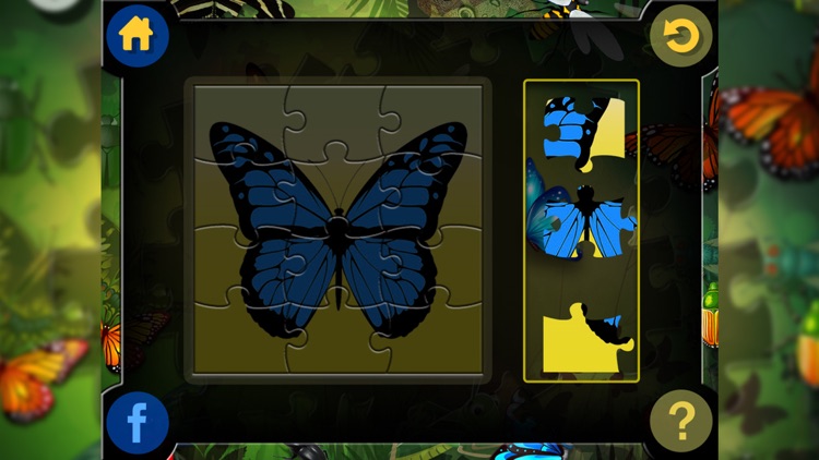 Jigsaw Puzzle for Insects