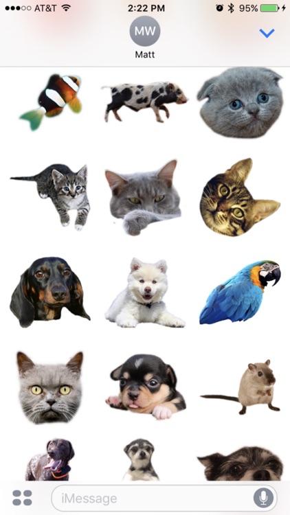 Pet Stickers, Dogs, Cats, Horses, & Fish!