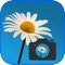 This app provides plant identification service