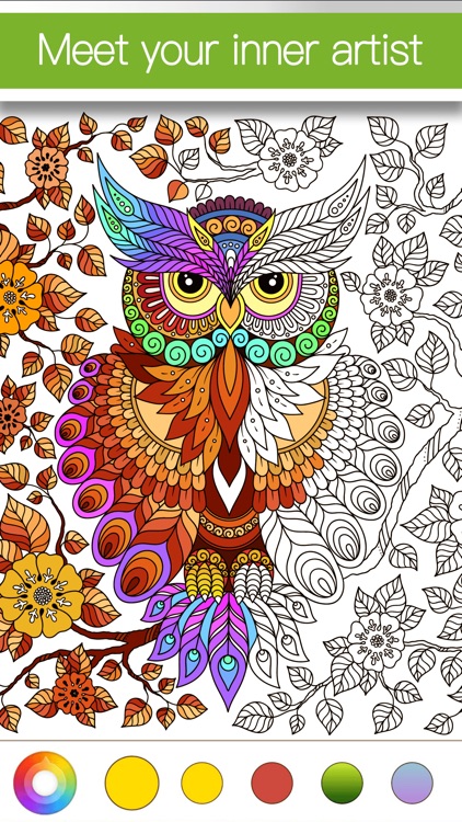 Colorfly : Coloring Book for Adults - Free Games screenshot-1