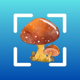 Mushroom identifier by picture