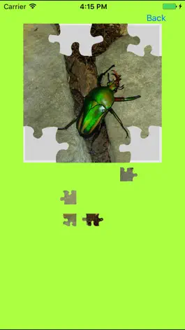Game screenshot Rhinoceros Beetle Jigsaw Puzzle hack
