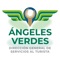 Icon ANGELES VERDES