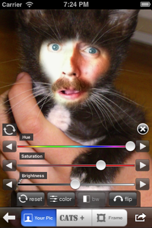 Cat Me! screenshot 3