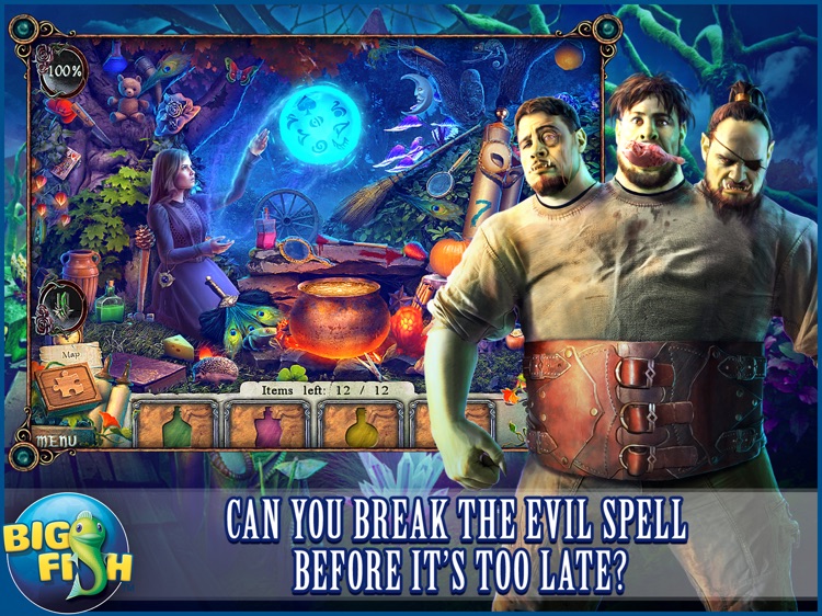 Witches' Legacy: Awakening Darkness HD - Hidden