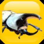 Puzzle & beetle App Support