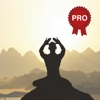 Qigong Workout Challenge PRO - Gain longevity