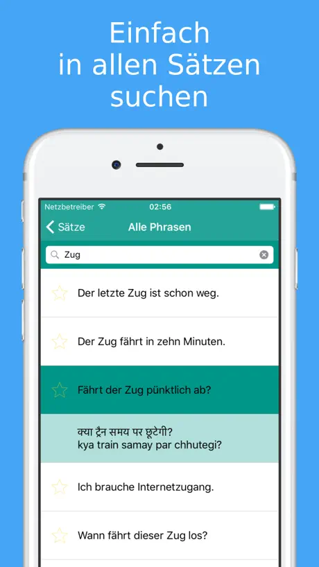 Der Pizza Kurier Maione