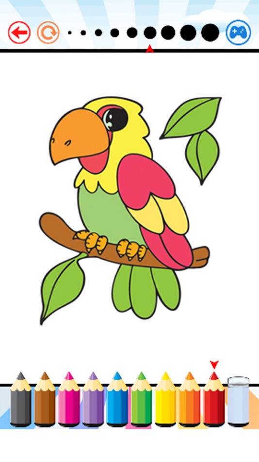 Bird Coloring Book - Activities for Kid - 1.0 - (iOS)