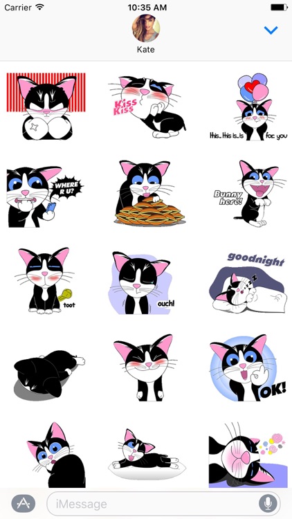 Tuxedo The Cat Stickers