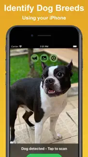 dog scan - breed identifier iphone screenshot 1