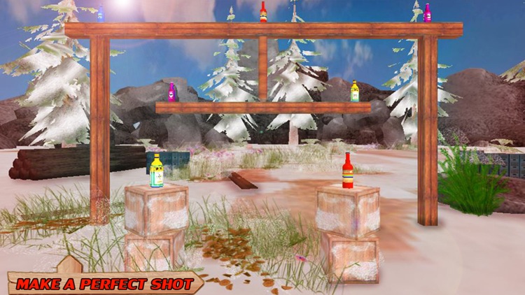 Snow Bottle Shooting screenshot-3