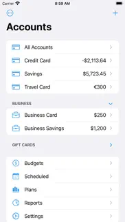 debit & credit iphone screenshot 1
