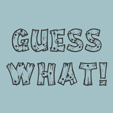 Activities of GuessWhat GW