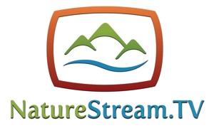 NatureStream.TV