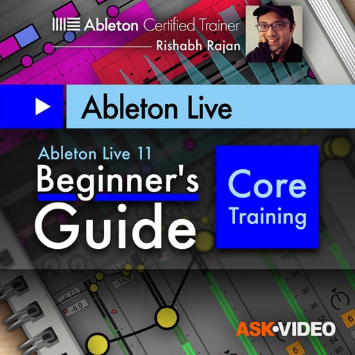 Beginner Guide for Live 11