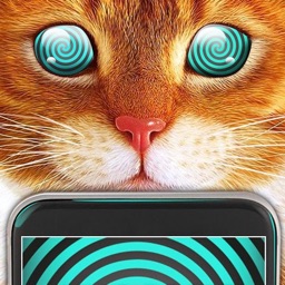 Real Cat Hypnosis Simulator