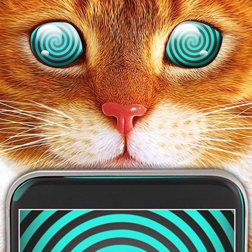Real Cat Hypnosis Simulator