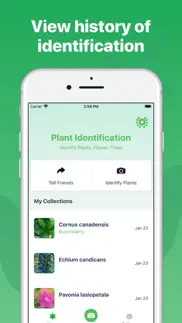 plant identification ++ problems & solutions and troubleshooting guide - 3