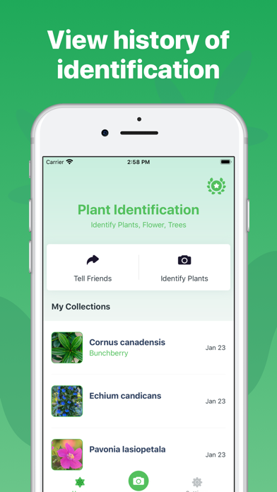 Plant Identification ++ Screenshot