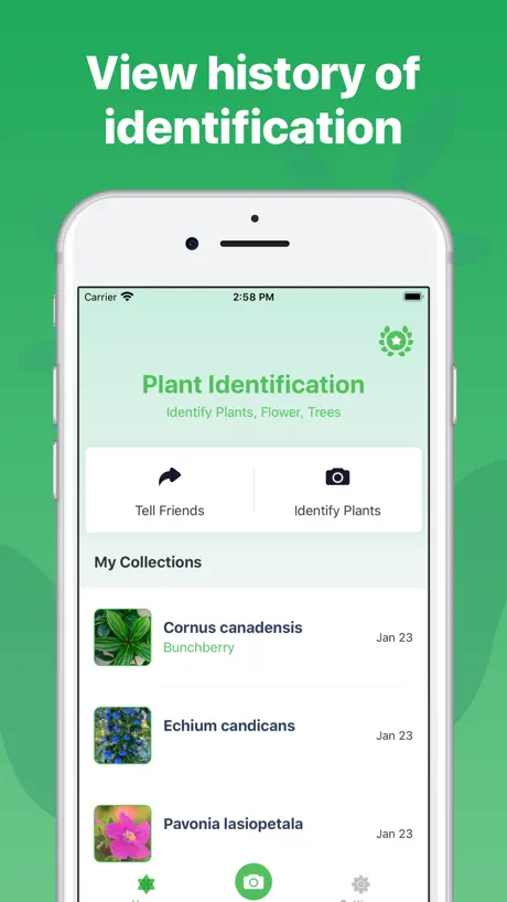 Plant Identification ++