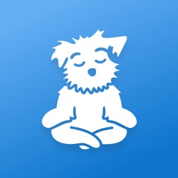 Meditation | Down Dog