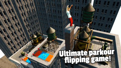 screenshot of Flip Runner 1