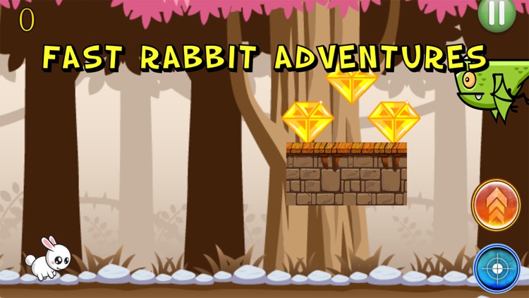 Fast Rabbit Adventures