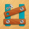 Nuts & Bolts Brain Puzzle icon