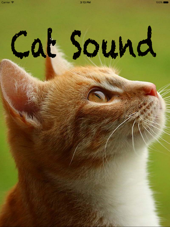 Screenshot #5 pour Funny Cat Sounds - Cat Music,Meow Sounds