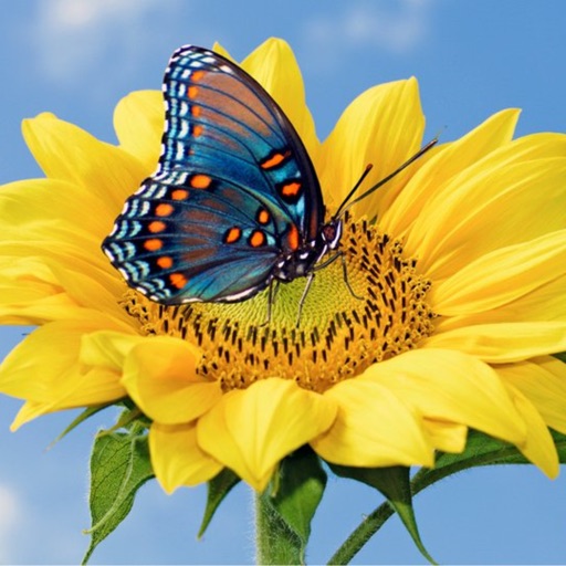 Schlosspark Mühlbach