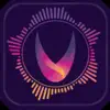 Vythm JR - Music Visualizer VJ App Negative Reviews