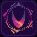 Vythm JR - Music Visualizer VJ App Negative Reviews