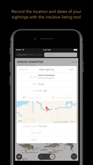 Collins British Bird Guide(圖2)-速報App