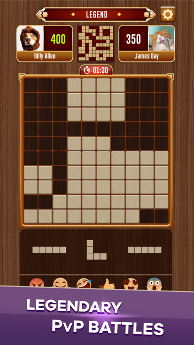 Woody Battle Block Puzzle Dual screenshot 5