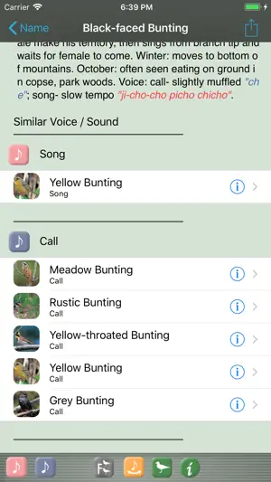 Japanese Birds screenshot 4
