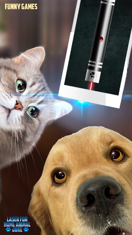 Laser for Home Animal Joke