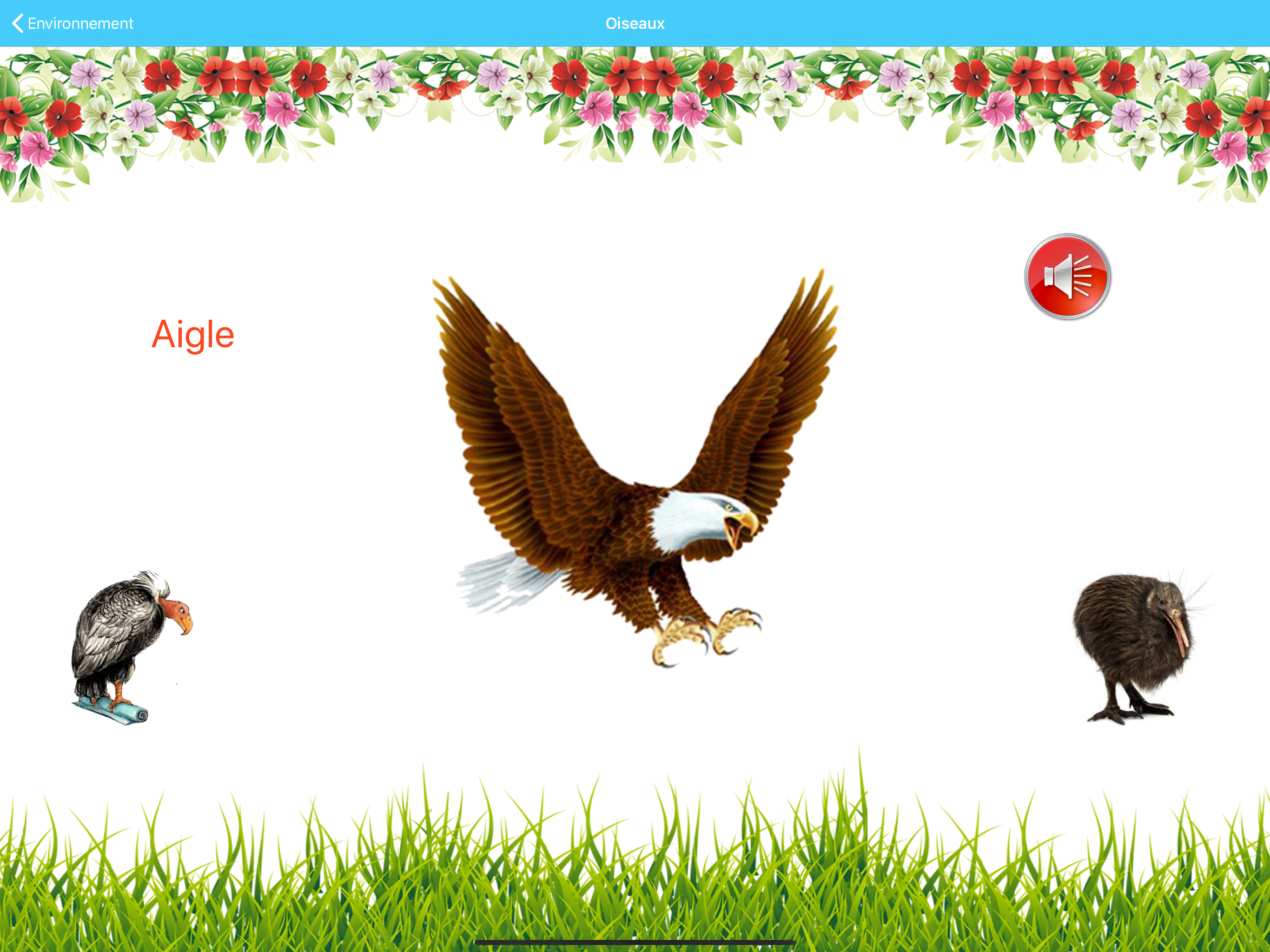 Alphabet Learning App screenshot 18