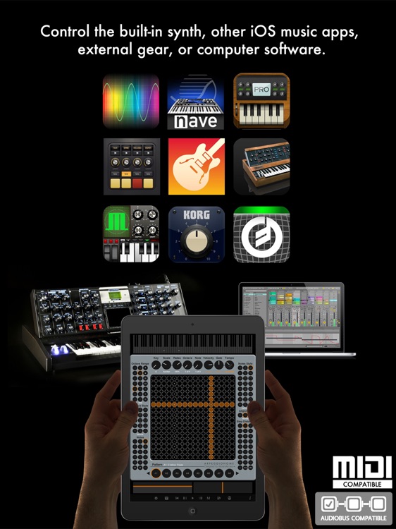 Arpeggionome Pro | matrix arpeggiator screenshot-4